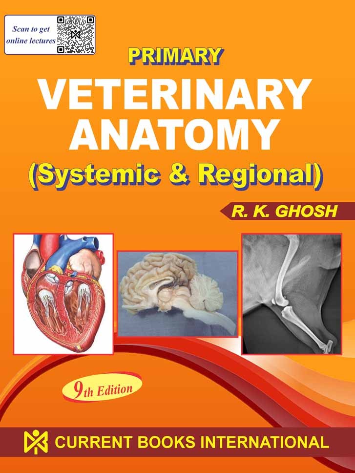 PRIMARY VETERINARY ANATOMY
