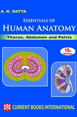 ESSENTIALS Of HUMAN ANATOMY PART - I : THORAX AND ABDOMEN, 10/ed By A ...